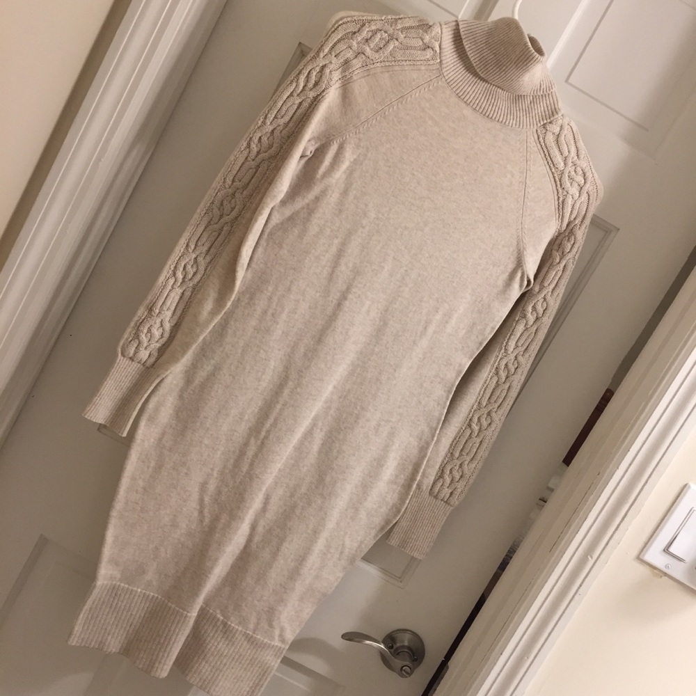 Fitted Turtleneck Sweater Dress